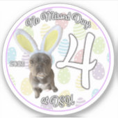 NMD bei DSK - Abzeichen-Sticker im April 2023 Aufkleber (Vorderseite)