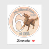 NMD bei DSK - Abzeichen-Sticker vom Juni 2023 Aufkleber (Blatt)