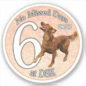 NMD bei DSK - Abzeichen-Sticker vom Juni 2023 Aufkleber (Vorderseite)