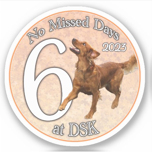 NMD bei DSK - Abzeichen-Sticker vom Juni 2023 Aufkleber (Vorderseite)