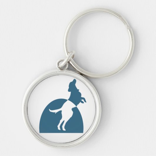 NMDR runder Schlüsselanhänger (Vorne)