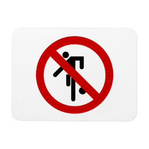 NO Ball Games ⚠ Thai Park ⚠ Magnet