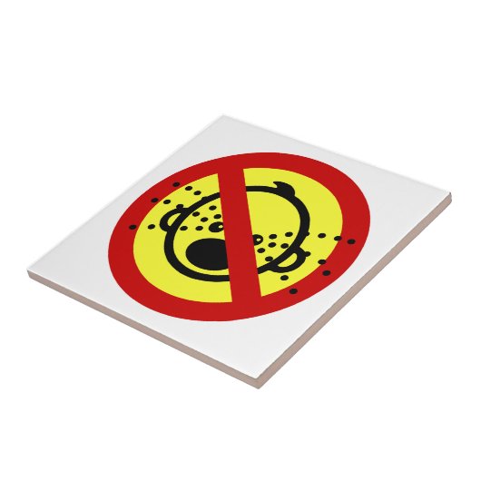 NO Cry Babys ⚠ thailändischer Flughafen ⚠ Fliese (Seite)