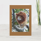 NO DISGUISE-40th BIRTHDAY GROUP Karte (Vorderseite)