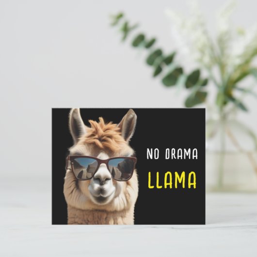 No Drama Llama Cool Alpaca mit Sonnenbrille Funny Postkarte (Stehend Vorderseite)