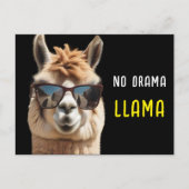 No Drama Llama Cool Alpaca mit Sonnenbrille Funny Postkarte (Vorderseite)
