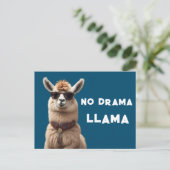 No Drama Llama Cool Alpaca Wear Sonnenbrille Blau Postkarte (Stehend Vorderseite)