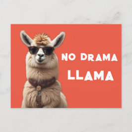 No Drama Llama Cool Alpaca Wear Sonnenbrille Orang Postkarte