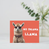 No Drama Llama Cool Alpaca Wear Sonnenbrille Orang Postkarte (Stehend Vorderseite)
