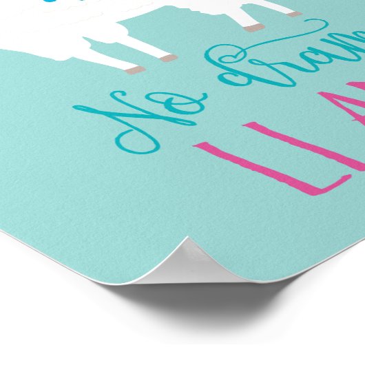 No Drama LLAMA Poster (Ecke)