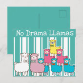 No Drama Llamas Postkarte (Vorne/Hinten)