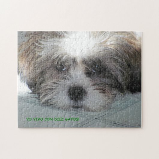 No Feliz Jigsaw Puzzle (Horizontal)