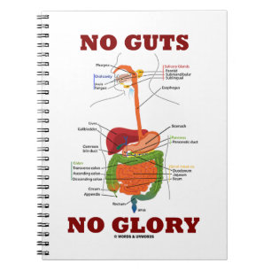 No Guts No Glory (Verdauungssystem Humor) Notizblock