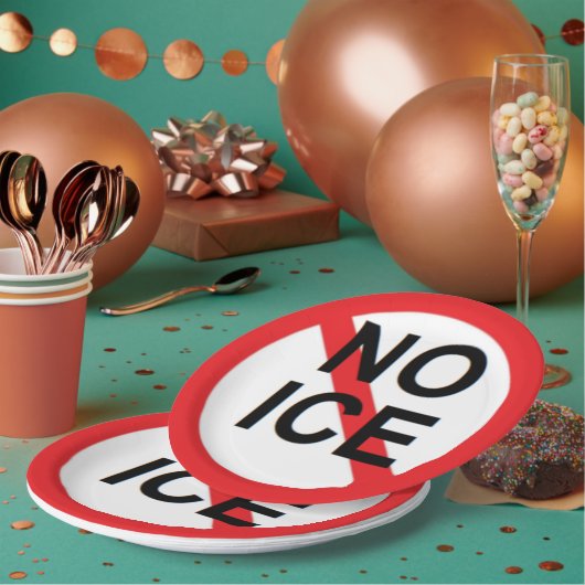 NO ICE  PAPPTELLER (Multi)