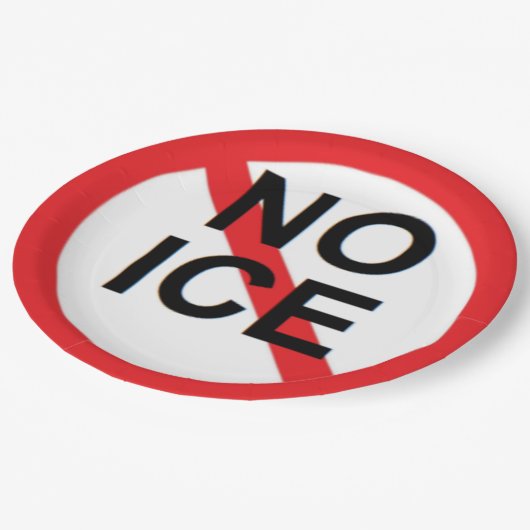 NO ICE  PAPPTELLER (Schrägansicht)