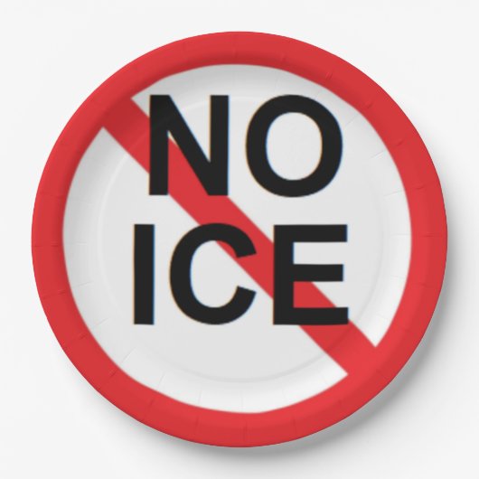 NO ICE  PAPPTELLER (Vorderseite)