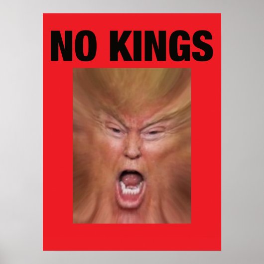 NO KING Dump Trump Poster (Vorne)