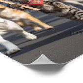 No Kings Day Pet Poster (Ecke)