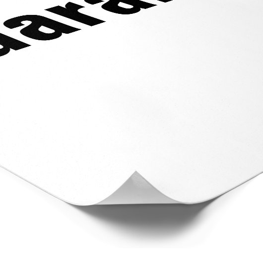 No Kings Protest Poster (Ecke)