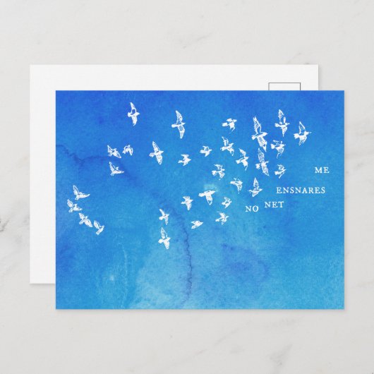 "No net ensnares me" + Vögel (weiß auf blau) Postkarte (Vorne/Hinten)