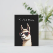 No Prob-llama Cool Llama Funky Alpaca Postkarte (Stehend Vorderseite)