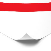 NO Repugs Poster (Ecke)