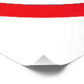 NO Repugs Poster (Ecke)