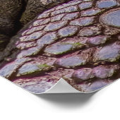 No Rush Poster (Ecke)