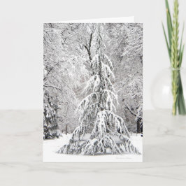 *No Snowflake Falls In the Wrong Place. Feiertagskarte