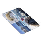 NO Spitsbergen - Svalbard - Fjord - Polar Bear -