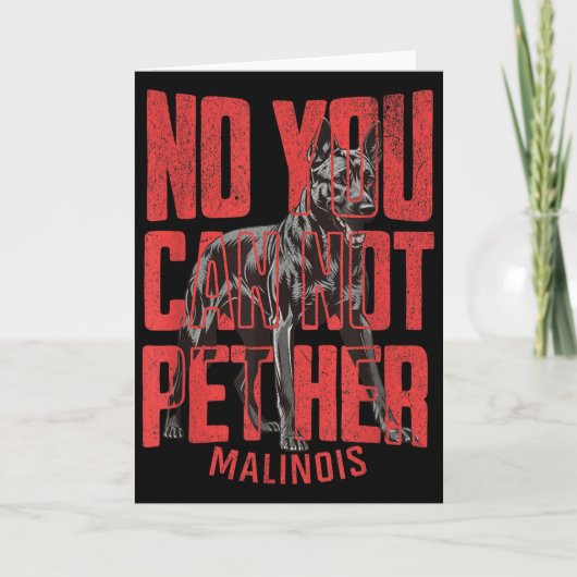 No You Can't Pet Her Malinois Funny K9 Military Ha Karte (Vorderseite)