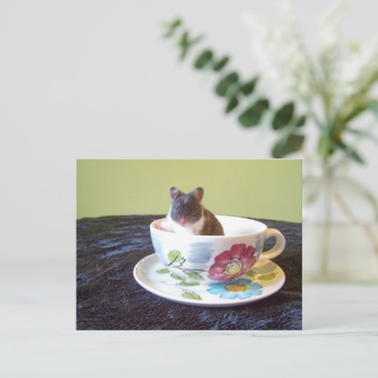 Noah 2 Postkarte (Stehend Vorderseite)