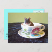 Noah 2 Postkarte (Vorne/Hinten)