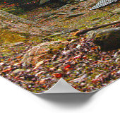 Noah "Bud" Ogle Kabine in den Smokies Poster (Ecke)