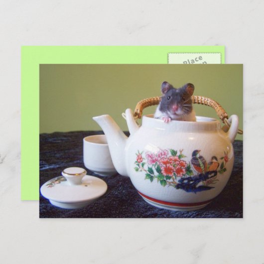 Noah Postcard Postkarte (Vorne/Hinten)