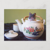 Noah Postcard Postkarte (Vorderseite)