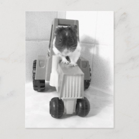 Noah Postkarte (Vorderseite)