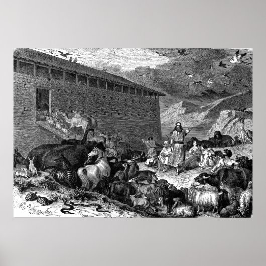 Noah und die Arche Poster (Vorne)