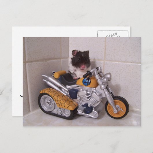 Noah-Zyklus Postkarte (Vorne/Hinten)