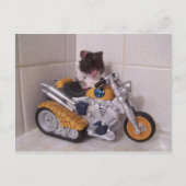 Noah-Zyklus Postkarte (Vorderseite)