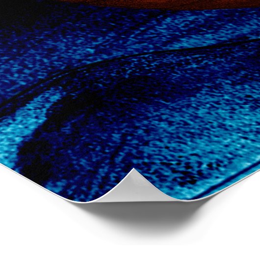 Noah's Ark Poster (Ecke)