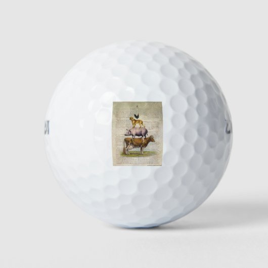 NOB10-Hof-Stand A1.tif Golfball (Vorderseite)