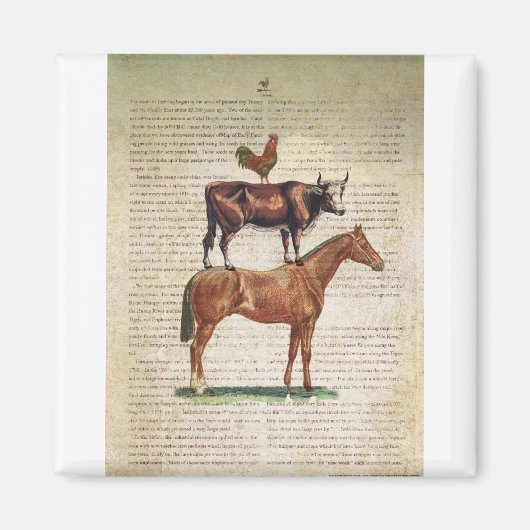 NOB12 Farm Stand C1.tif Magnet (Vorne)