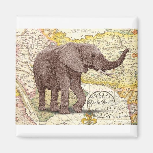 NOB173 Trunk 1.tif Magnet (Vorne)