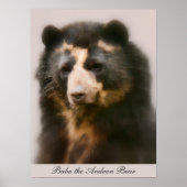 Noble Bubu Portrait Poster (Vorne)