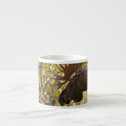 Noble Bull Moose Espressotasse (Vorderseite)