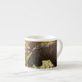 Noble Bull Moose Espressotasse (Vorderseite Rechts)