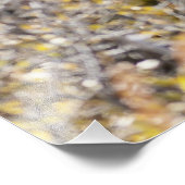 Noble Bull Moose Fotodruck (Ecke)