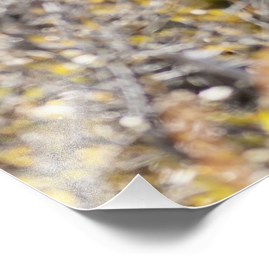 Noble Bull Moose Fotodruck (Ecke)