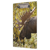 Noble Bull Moose Klemmbrett (Links)